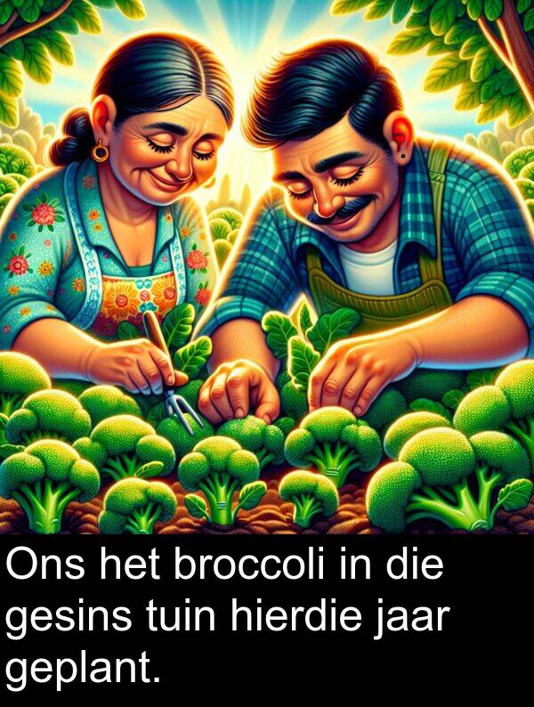 hierdie: Ons het broccoli in die gesins tuin hierdie jaar geplant.