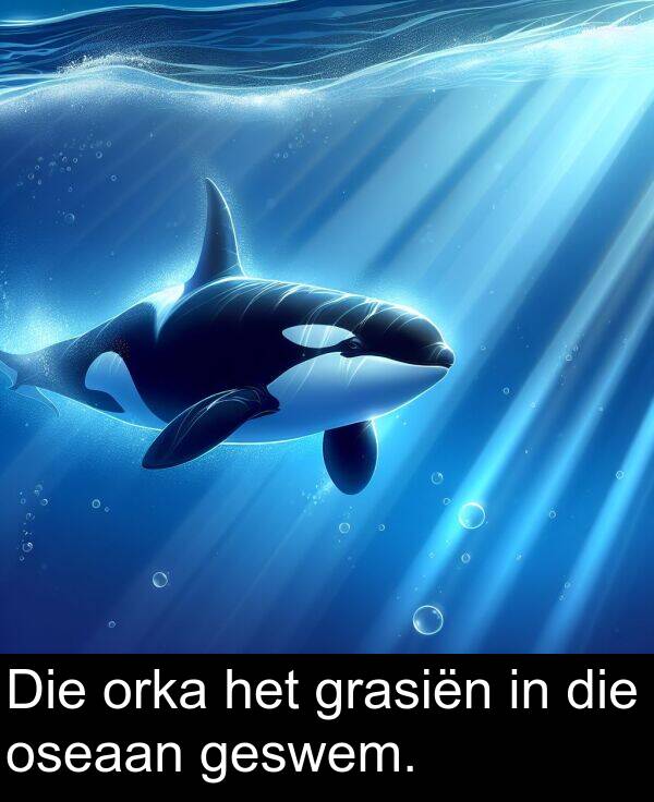 grasiën: Die orka het grasiën in die oseaan geswem.