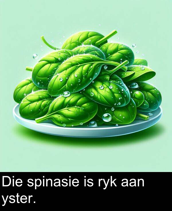 yster: Die spinasie is ryk aan yster.