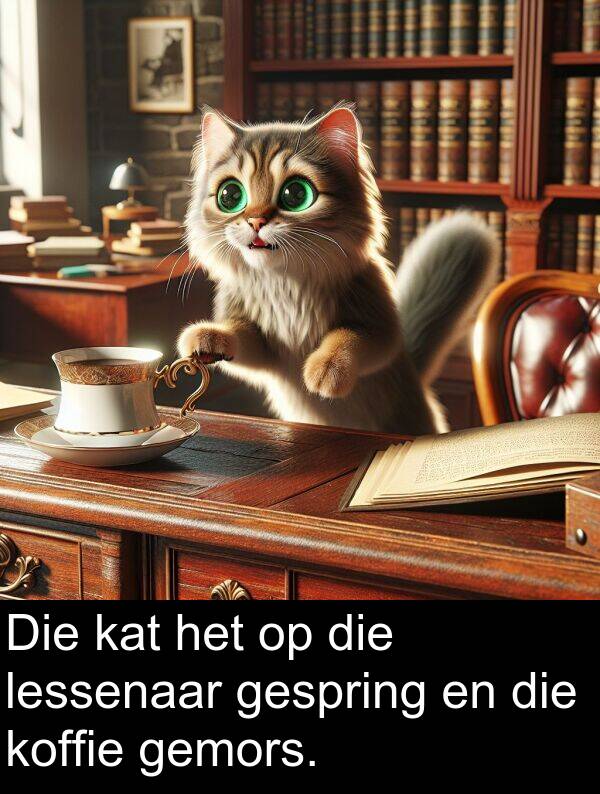 lessenaar: Die kat het op die lessenaar gespring en die koffie gemors.