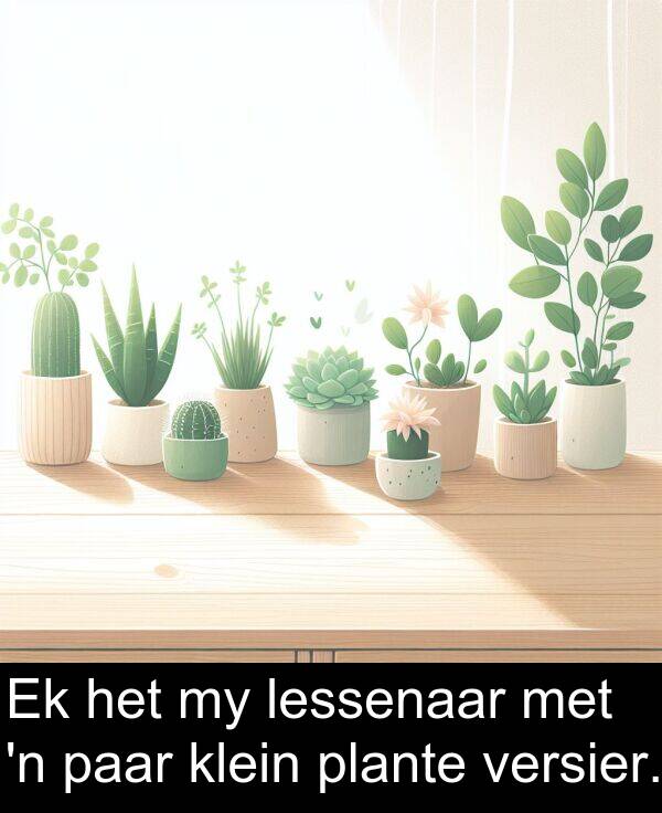 paar: Ek het my lessenaar met 'n paar klein plante versier.