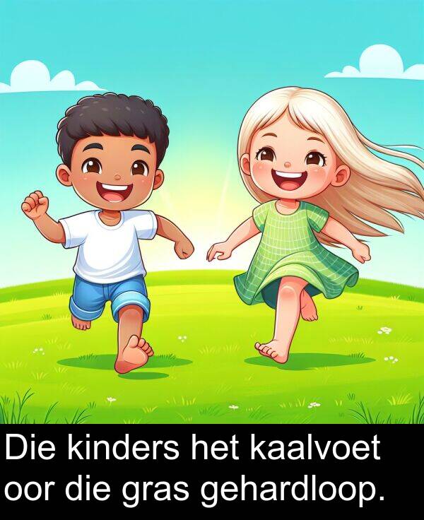 gehardloop: Die kinders het kaalvoet oor die gras gehardloop.