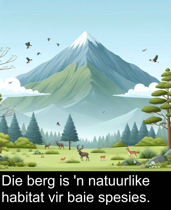 habitat: Die berg is 'n natuurlike habitat vir baie spesies.