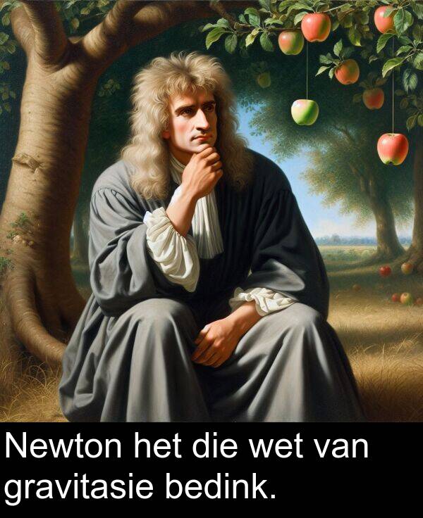 wet: Newton het die wet van gravitasie bedink.