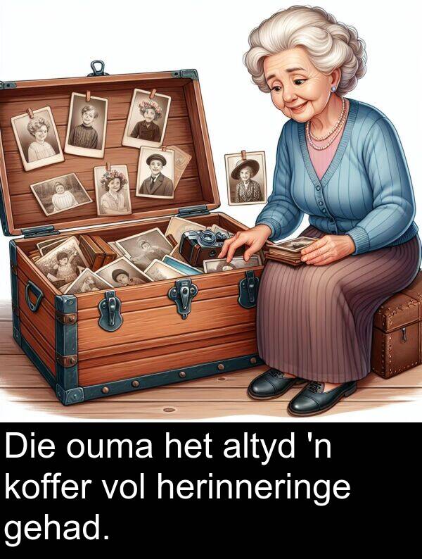 gehad: Die ouma het altyd 'n koffer vol herinneringe gehad.