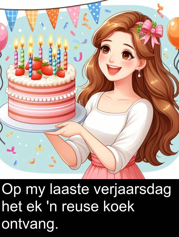 reuse: Op my laaste verjaarsdag het ek 'n reuse koek ontvang.