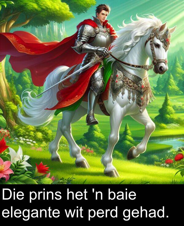 gehad: Die prins het 'n baie elegante wit perd gehad.