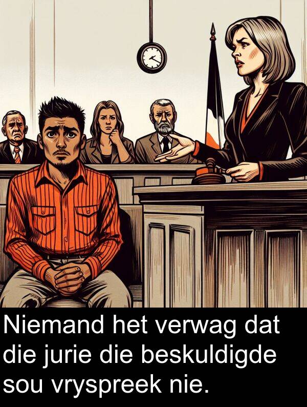 jurie: Niemand het verwag dat die jurie die beskuldigde sou vryspreek nie.