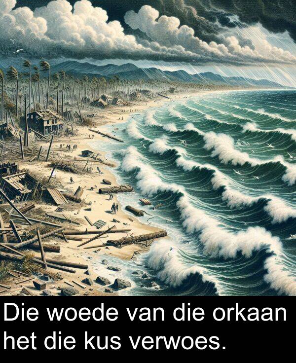 verwoes: Die woede van die orkaan het die kus verwoes.