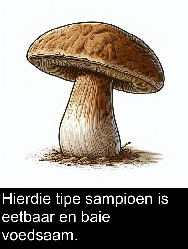 sampioen: Hierdie tipe sampioen is eetbaar en baie voedsaam.
