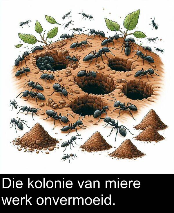 onvermoeid: Die kolonie van miere werk onvermoeid.