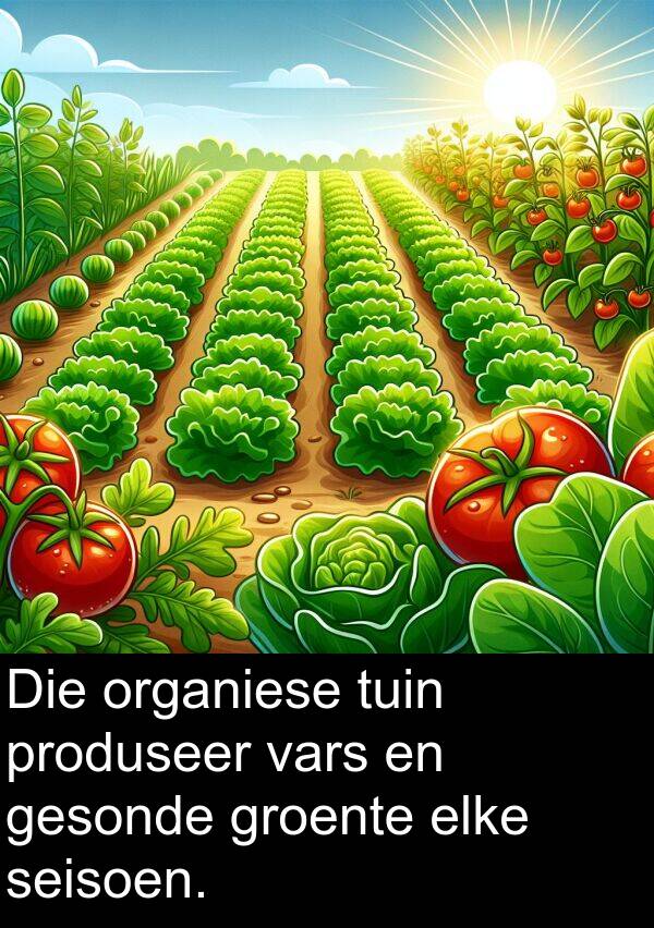 produseer: Die organiese tuin produseer vars en gesonde groente elke seisoen.