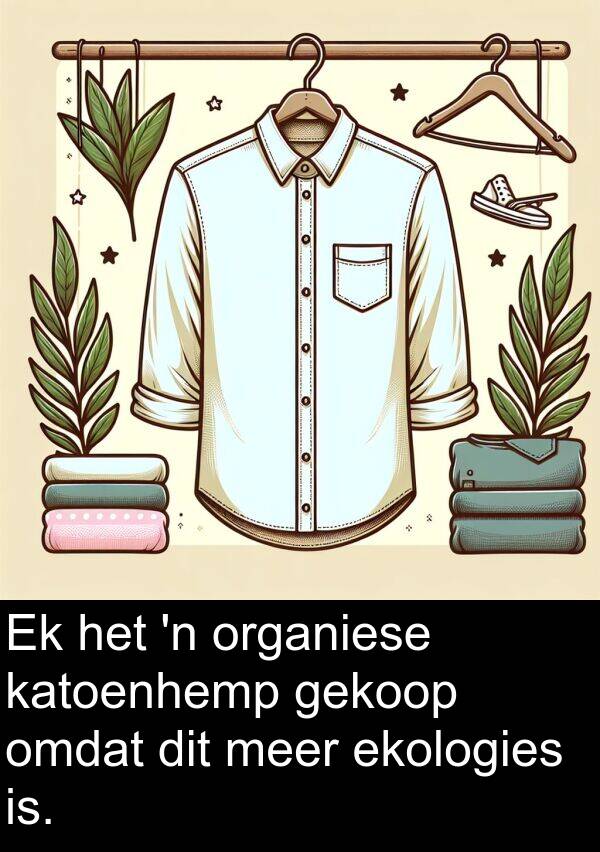 is: Ek het 'n organiese katoenhemp gekoop omdat dit meer ekologies is.