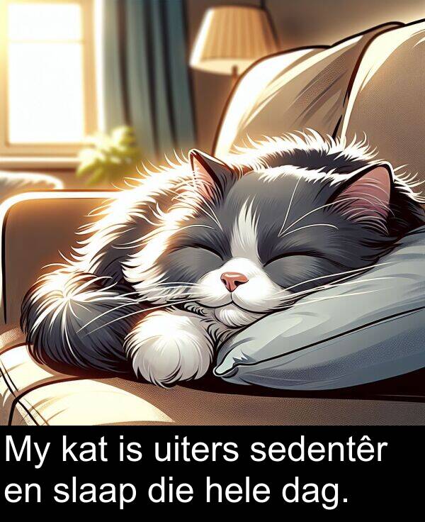 hele: My kat is uiters sedentêr en slaap die hele dag.