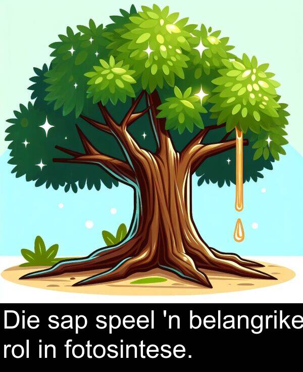 rol: Die sap speel 'n belangrike rol in fotosintese.