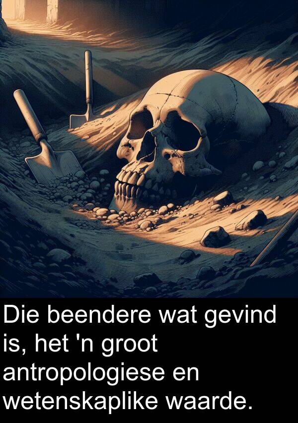 beendere: Die beendere wat gevind is, het 'n groot antropologiese en wetenskaplike waarde.