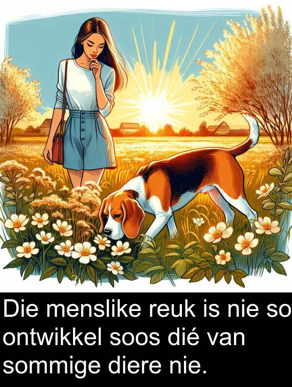 ontwikkel: Die menslike reuk is nie so ontwikkel soos dié van sommige diere nie.