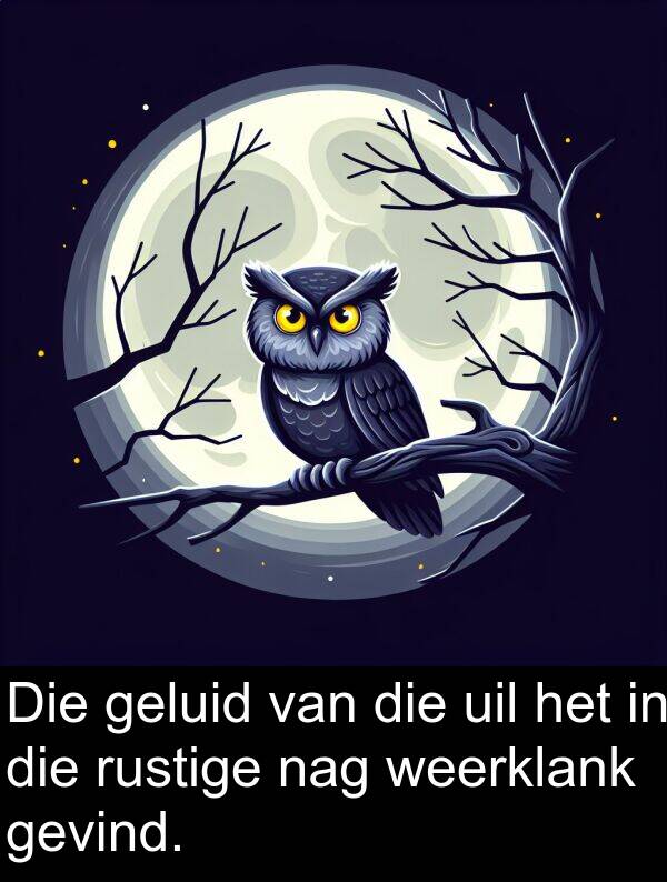 weerklank: Die geluid van die uil het in die rustige nag weerklank gevind.