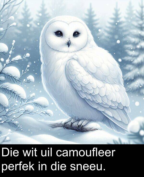 uil: Die wit uil camoufleer perfek in die sneeu.