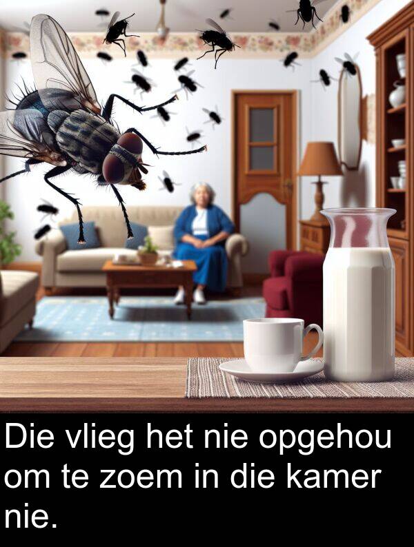 vlieg: Die vlieg het nie opgehou om te zoem in die kamer nie.