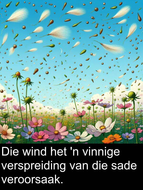 wind: Die wind het 'n vinnige verspreiding van die sade veroorsaak.