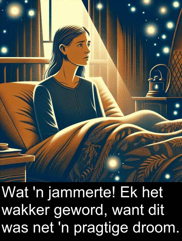 droom: Wat 'n jammerte! Ek het wakker geword, want dit was net 'n pragtige droom.