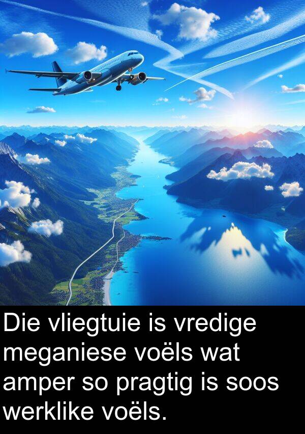 werklike: Die vliegtuie is vredige meganiese voëls wat amper so pragtig is soos werklike voëls.