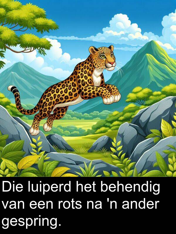 rots: Die luiperd het behendig van een rots na 'n ander gespring.