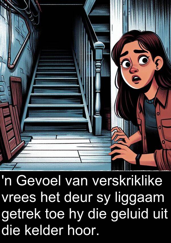 hoor: 'n Gevoel van verskriklike vrees het deur sy liggaam getrek toe hy die geluid uit die kelder hoor.