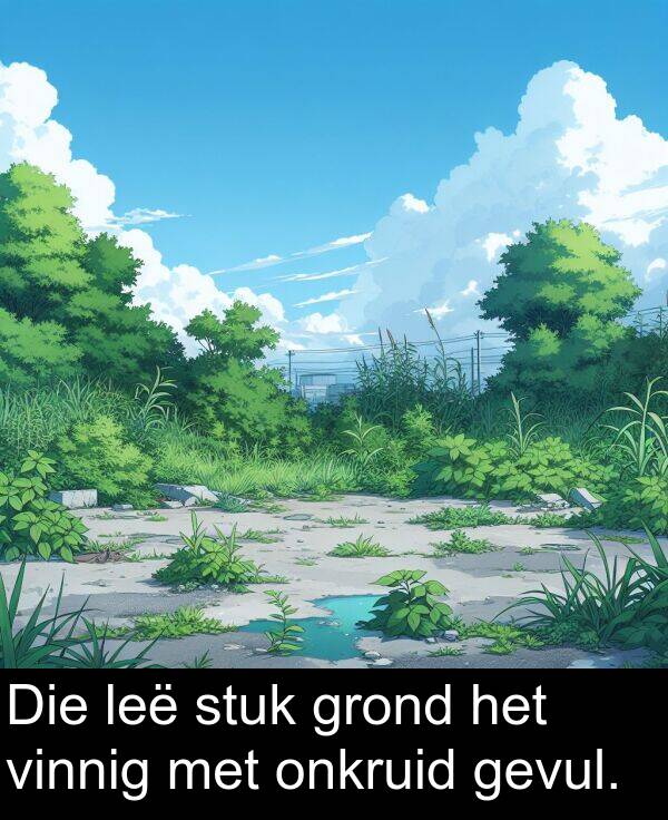 onkruid: Die leë stuk grond het vinnig met onkruid gevul.
