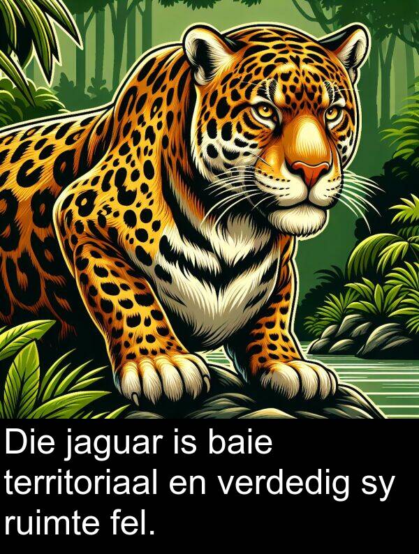 ruimte: Die jaguar is baie territoriaal en verdedig sy ruimte fel.