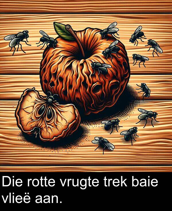 rotte: Die rotte vrugte trek baie vlieë aan.