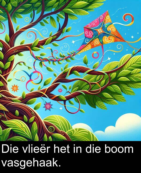 het: Die vlieër het in die boom vasgehaak.