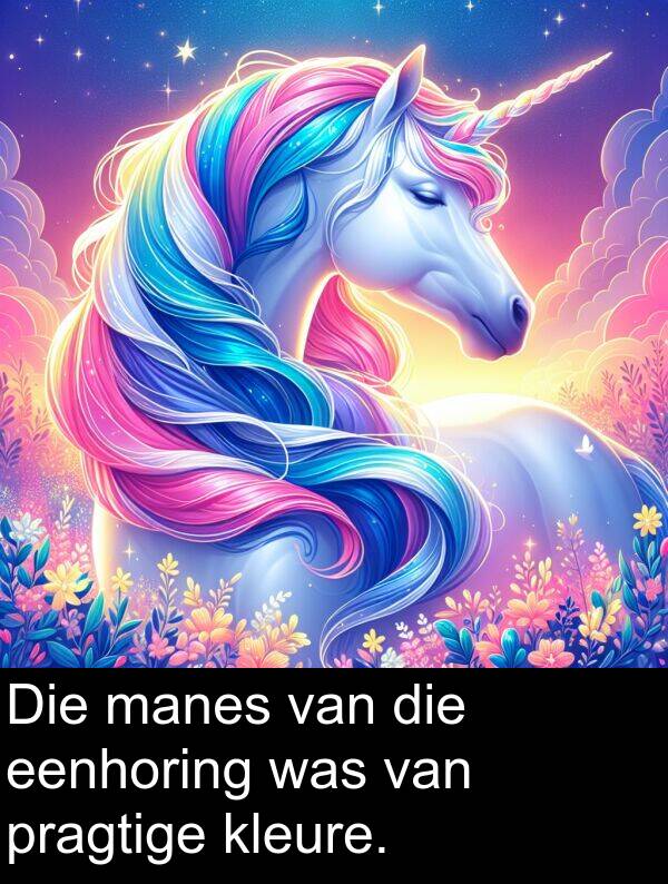 manes: Die manes van die eenhoring was van pragtige kleure.