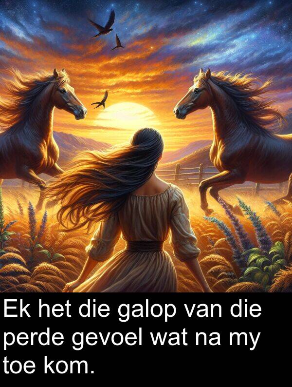 toe: Ek het die galop van die perde gevoel wat na my toe kom.