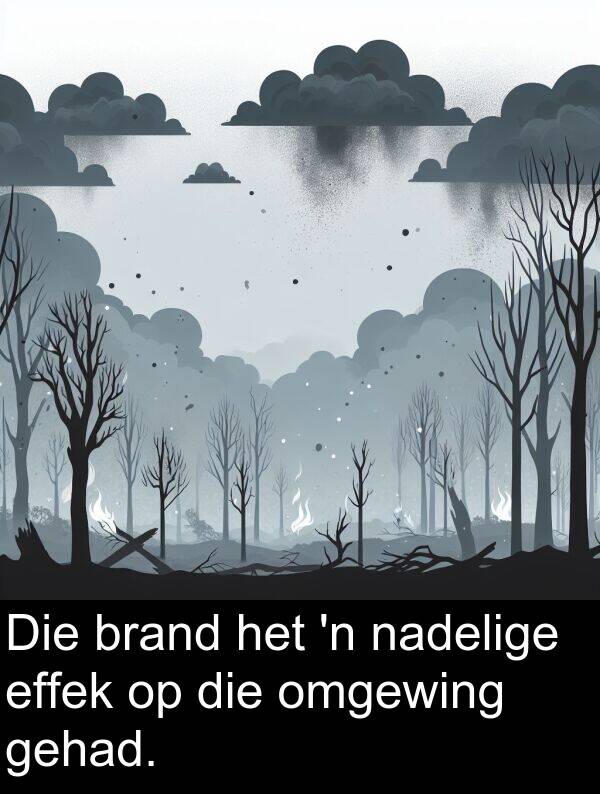 gehad: Die brand het 'n nadelige effek op die omgewing gehad.