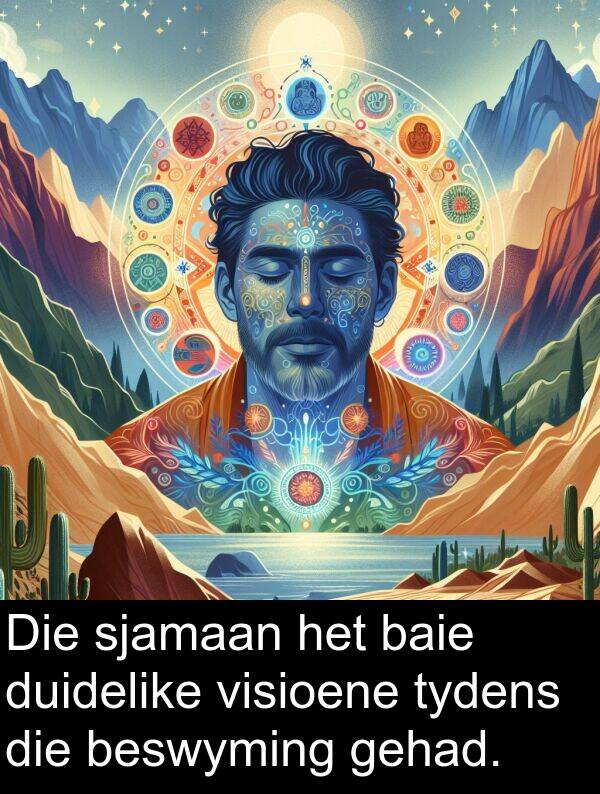 gehad: Die sjamaan het baie duidelike visioene tydens die beswyming gehad.