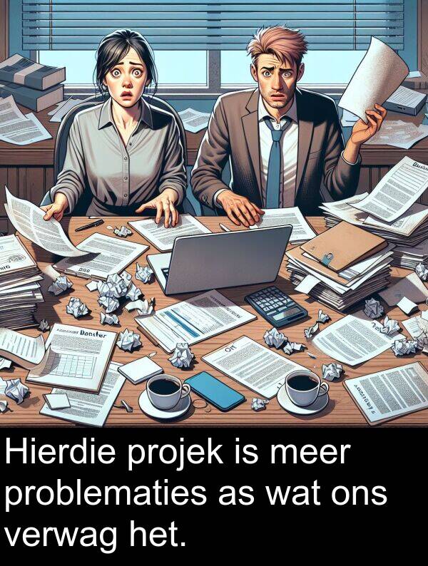 projek: Hierdie projek is meer problematies as wat ons verwag het.