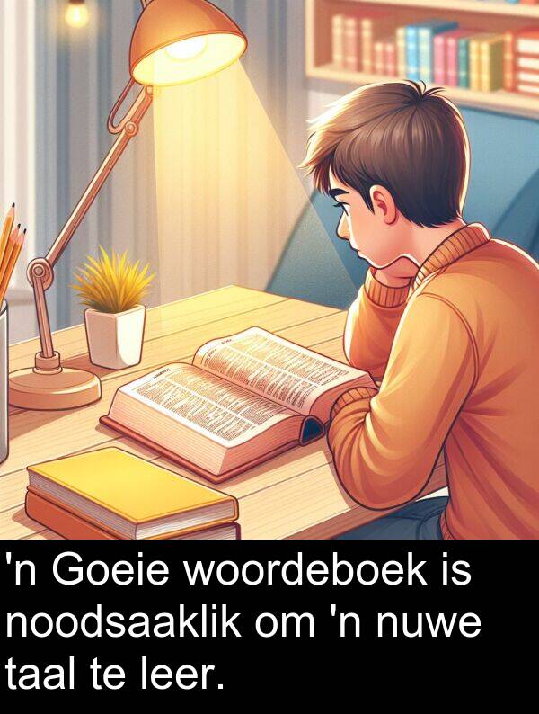 woordeboek: 'n Goeie woordeboek is noodsaaklik om 'n nuwe taal te leer.