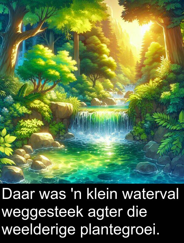 plantegroei: Daar was 'n klein waterval weggesteek agter die weelderige plantegroei.