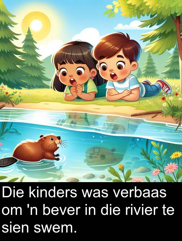 sien: Die kinders was verbaas om 'n bever in die rivier te sien swem.