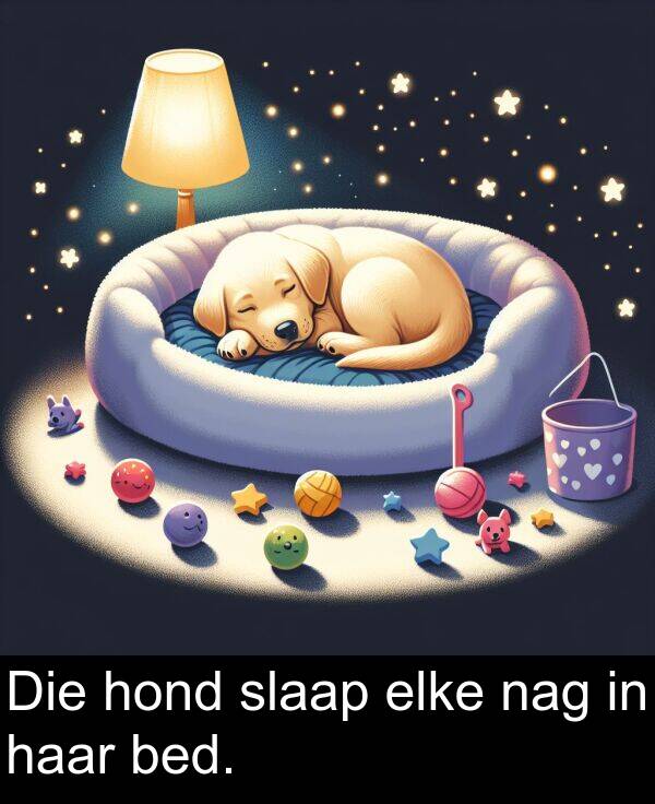haar: Die hond slaap elke nag in haar bed.