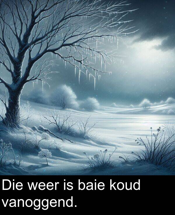 weer: Die weer is baie koud vanoggend.