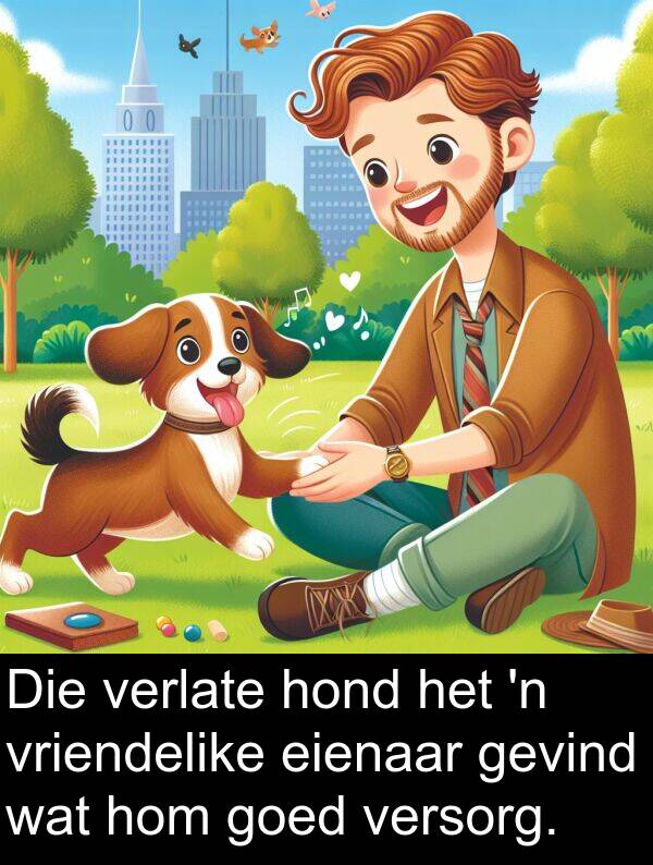 eienaar: Die verlate hond het 'n vriendelike eienaar gevind wat hom goed versorg.