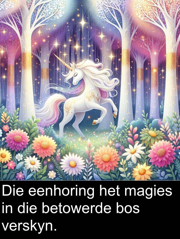 eenhoring: Die eenhoring het magies in die betowerde bos verskyn.