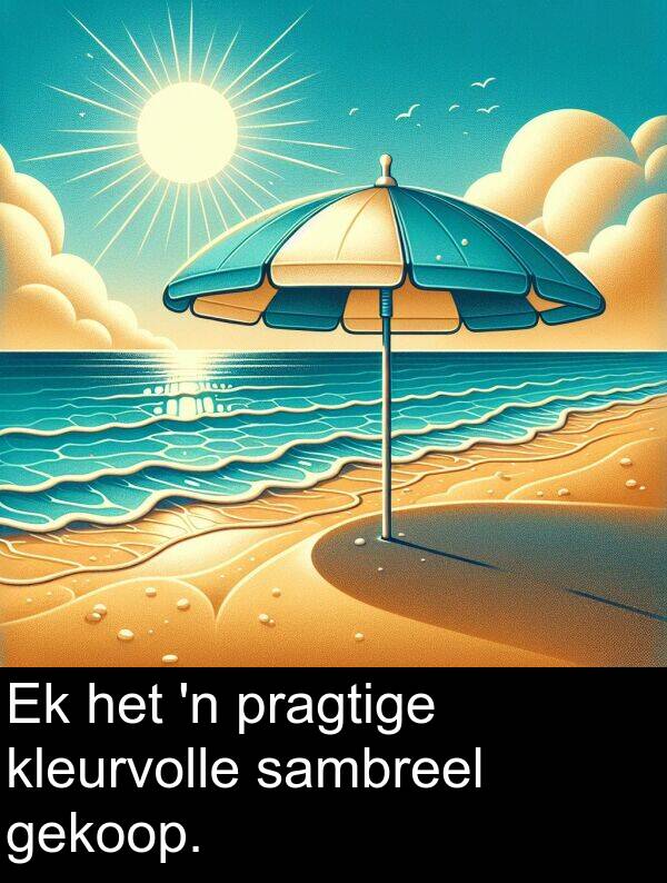 gekoop: Ek het 'n pragtige kleurvolle sambreel gekoop.