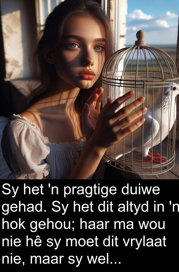 gehou: Sy het 'n pragtige duiwe gehad. Sy het dit altyd in 'n hok gehou; haar ma wou nie hê sy moet dit vrylaat nie, maar sy wel...