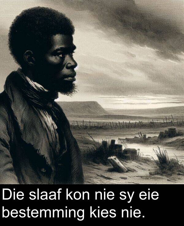 nie: Die slaaf kon nie sy eie bestemming kies nie.
