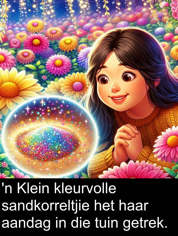 sandkorreltjie: 'n Klein kleurvolle sandkorreltjie het haar aandag in die tuin getrek.