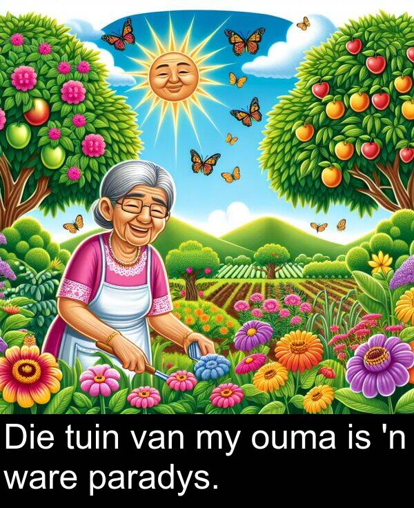 paradys: Die tuin van my ouma is 'n ware paradys.